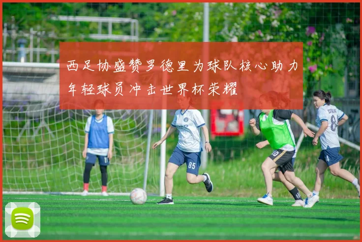 西足协盛赞罗德里为球队核心助力年轻球员冲击世界杯荣耀