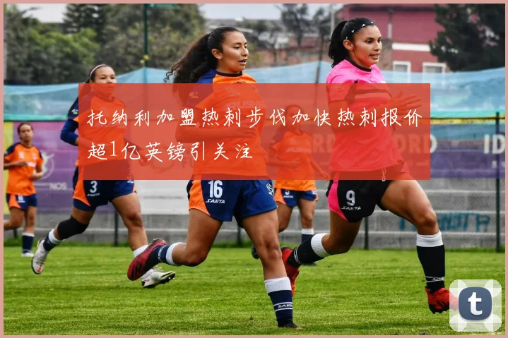 托纳利加盟热刺步伐加快热刺报价超1亿英镑引关注