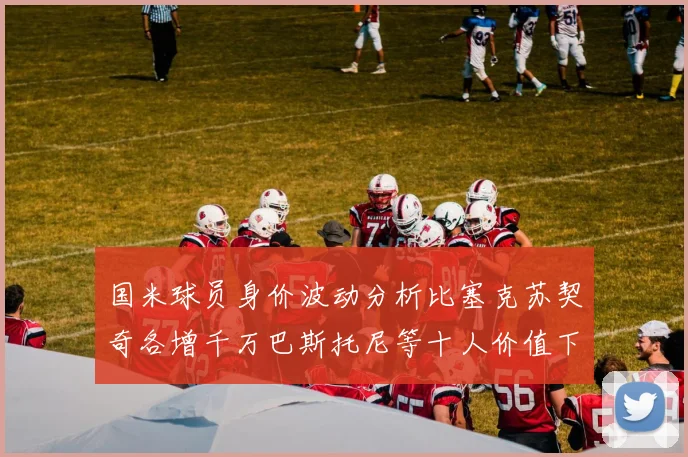 国米球员身价波动分析比塞克苏契奇各增千万巴斯托尼等十人价值下滑